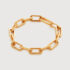 Capture Charm Bracelet