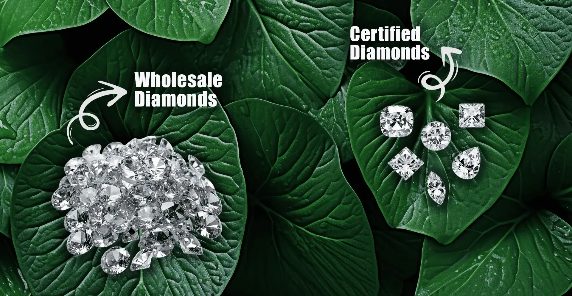 1920x10801758186273830 1