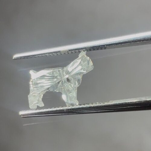 Unique Animal-Shaped Lab Grown Diamond – Colorless D–F VVS–VS