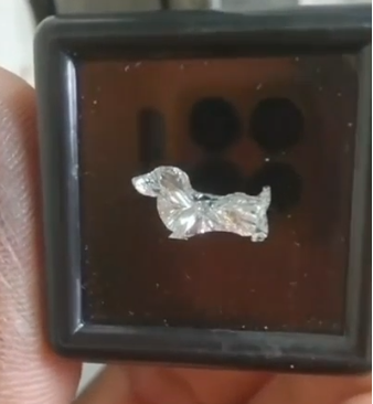 Designer Puppy Fancy Cut Lab Grown Diamond – Colorless D–F VVS–VS