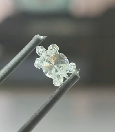 Turtle Shape Lab Grown Diamond – Colorless D–F VVS–VS Clarity
