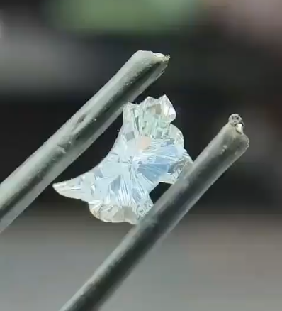 Unique Animal-Shaped Lab Grown Diamond – Colorless D–F VVS–VS