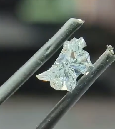 animal cut diamond