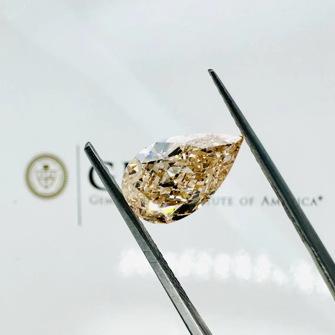 imgi 157 il 1140xN.7436956584 vmui LAB GROWN