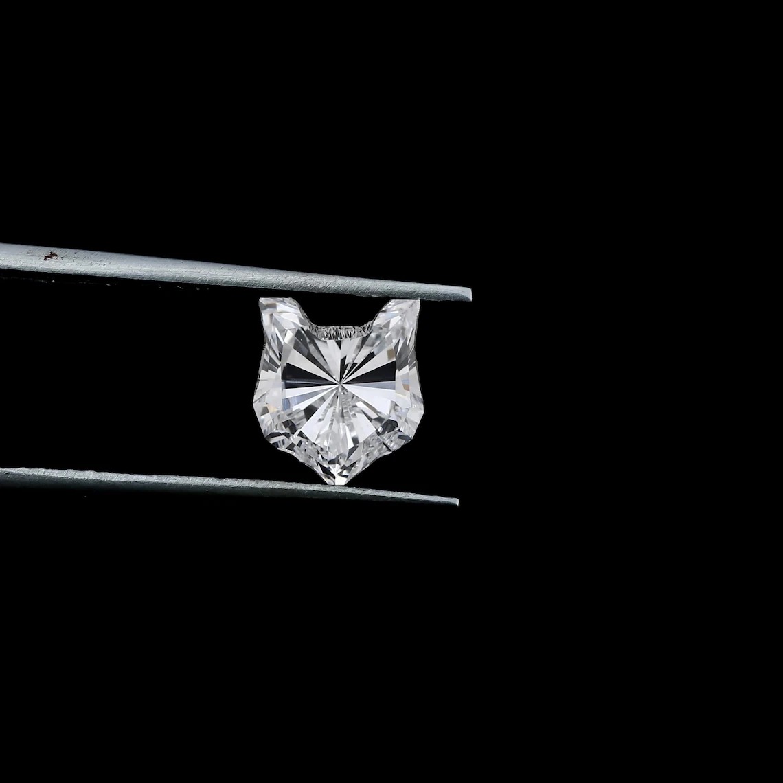 imgi 171 il 1140xN.6374592501 qq0n cat shape