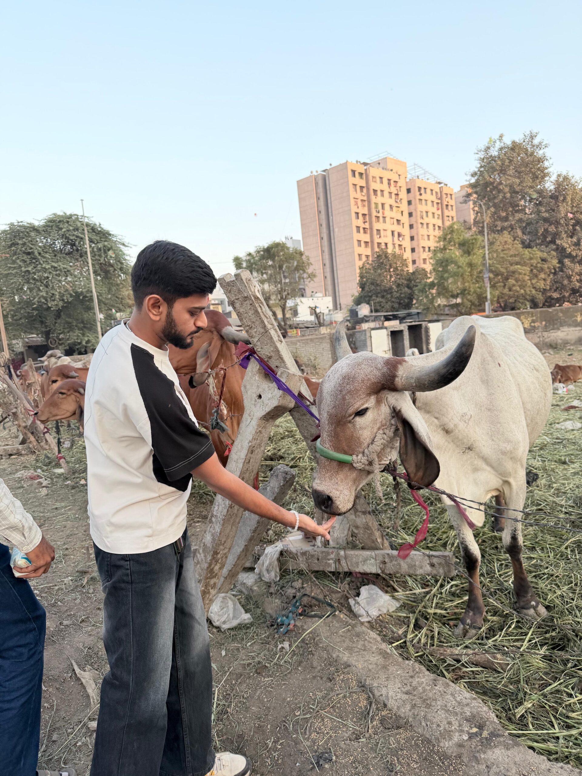 Animal Welfare